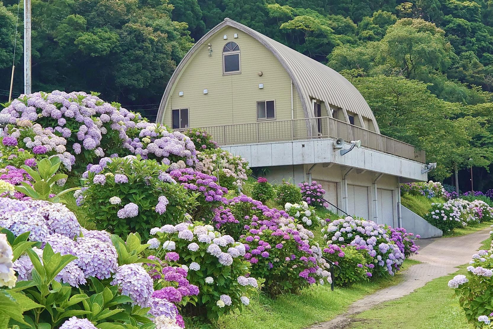 【鹿屋市】大隅湖-1