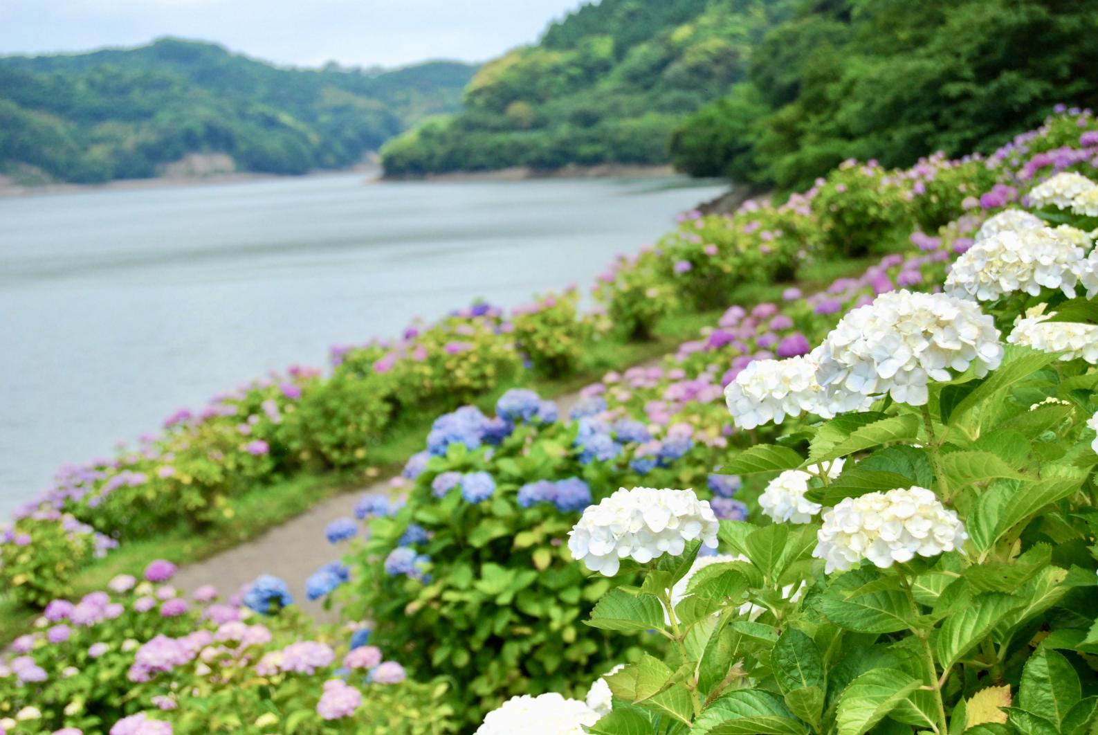 【鹿屋市】大隅湖-0