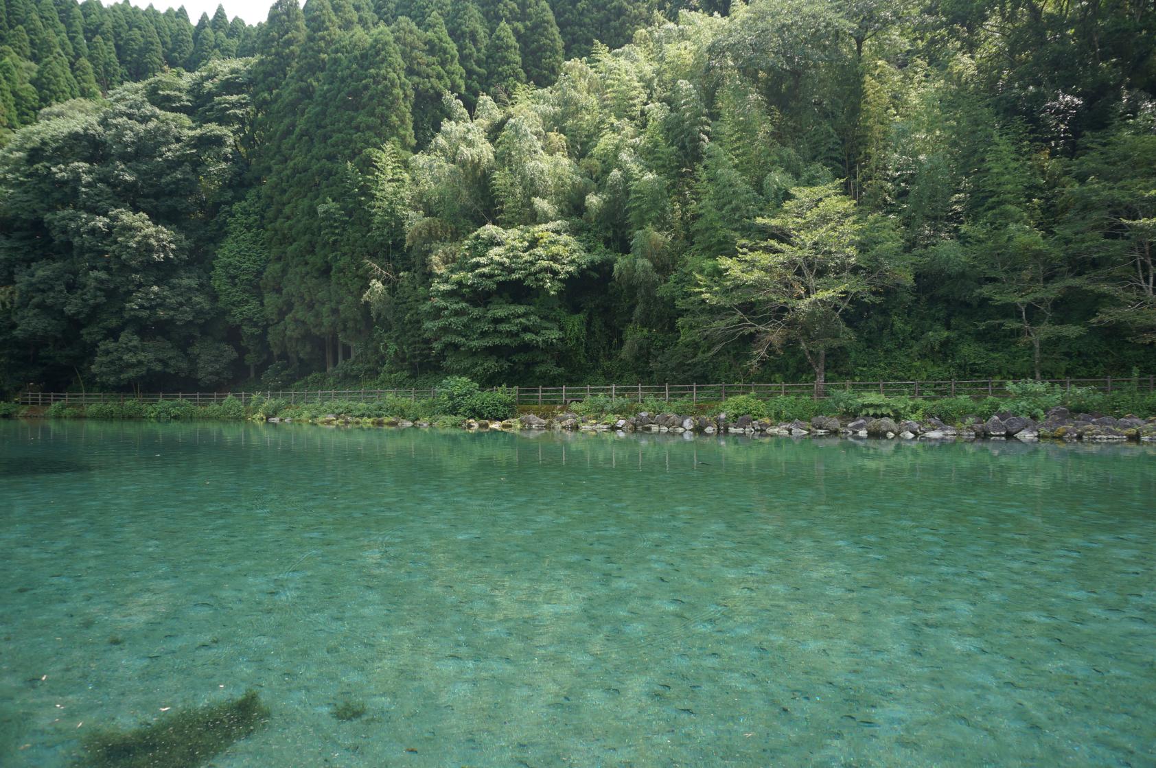 竹中池そうめん流し（湧水町）-5