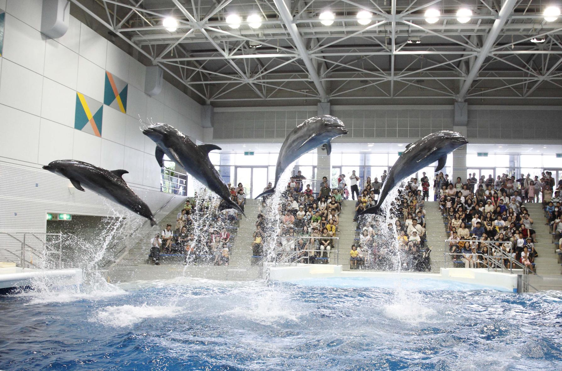 いおワールドかごしま水族館（鹿児島市）-2