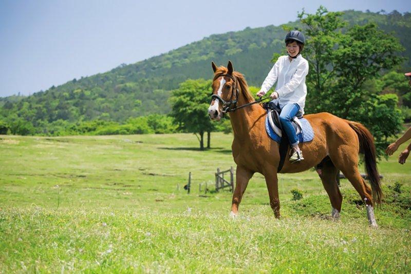 [霧島発]アートの森だけじゃない！湧水町満喫コース-1