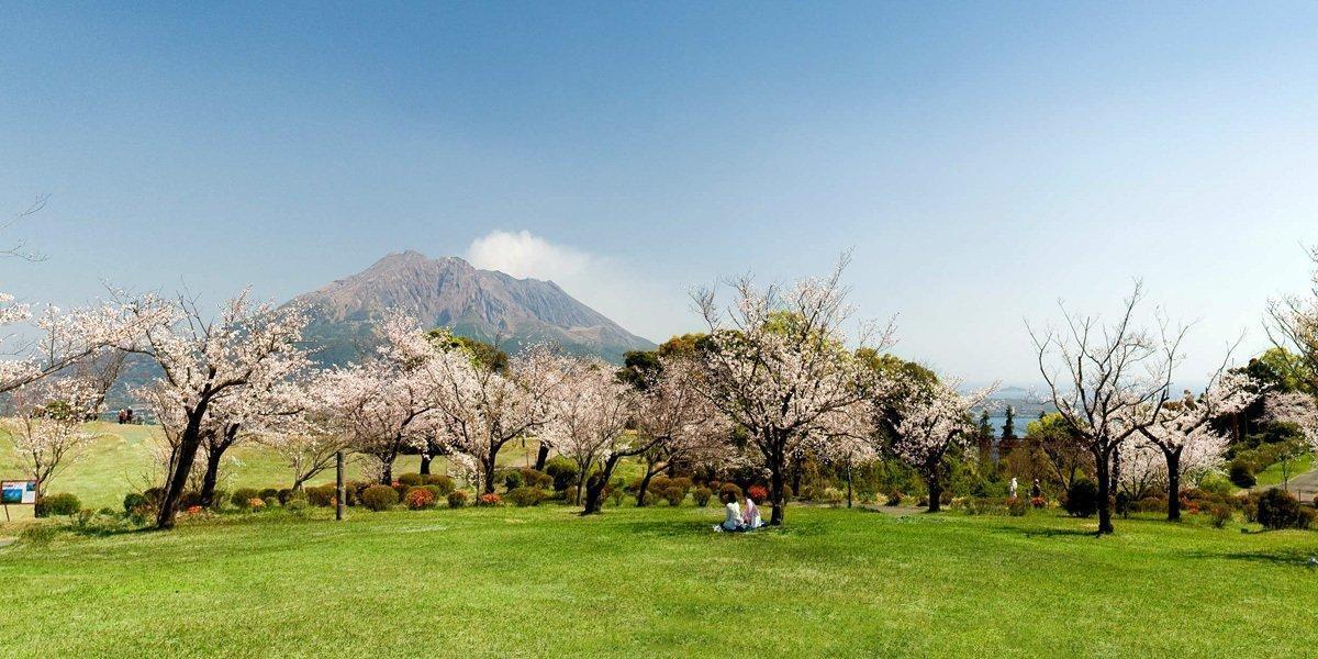 鹿児島県のお花見・桜名所案内　春のおでかけおすすめスポット-1