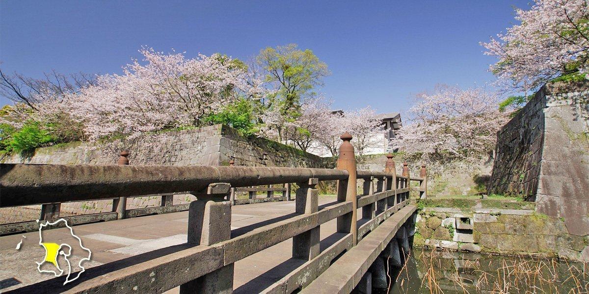 鹿児島のお花見・桜名所案内【中薩摩】鹿児島市・日置市・いちき串木野市-0