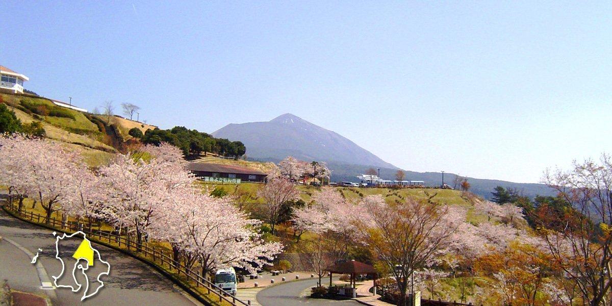 鹿児島のお花見・桜名所案内【霧島・姶良霧】島市・姶良市・姶良郡湧水町-0