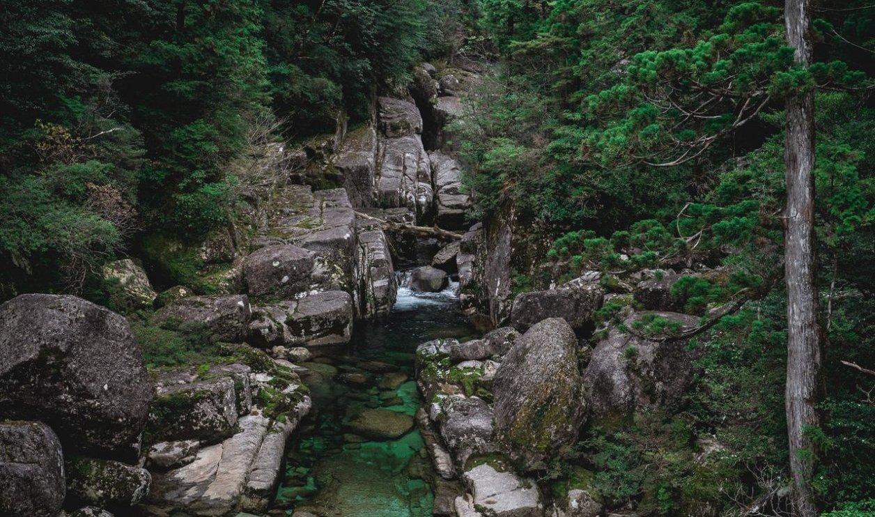 Roam the tropical fairytale landscape of Japan’s south-1