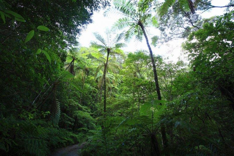 奄美の原風景をめぐる島旅 2泊3日コース-1