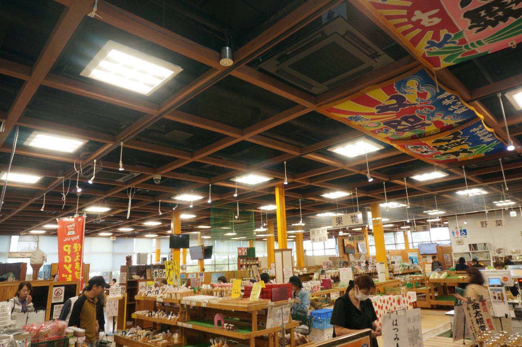 【鹿児島市発 日帰り旅】薩摩焼の里・美山散策と江口浜＆吹上浜ドライブツアー-2