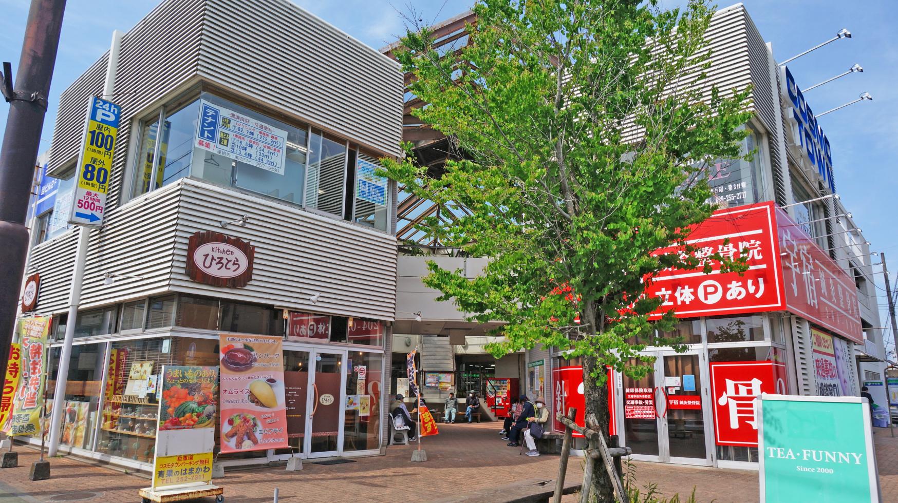 Usuki Shopping Street-1