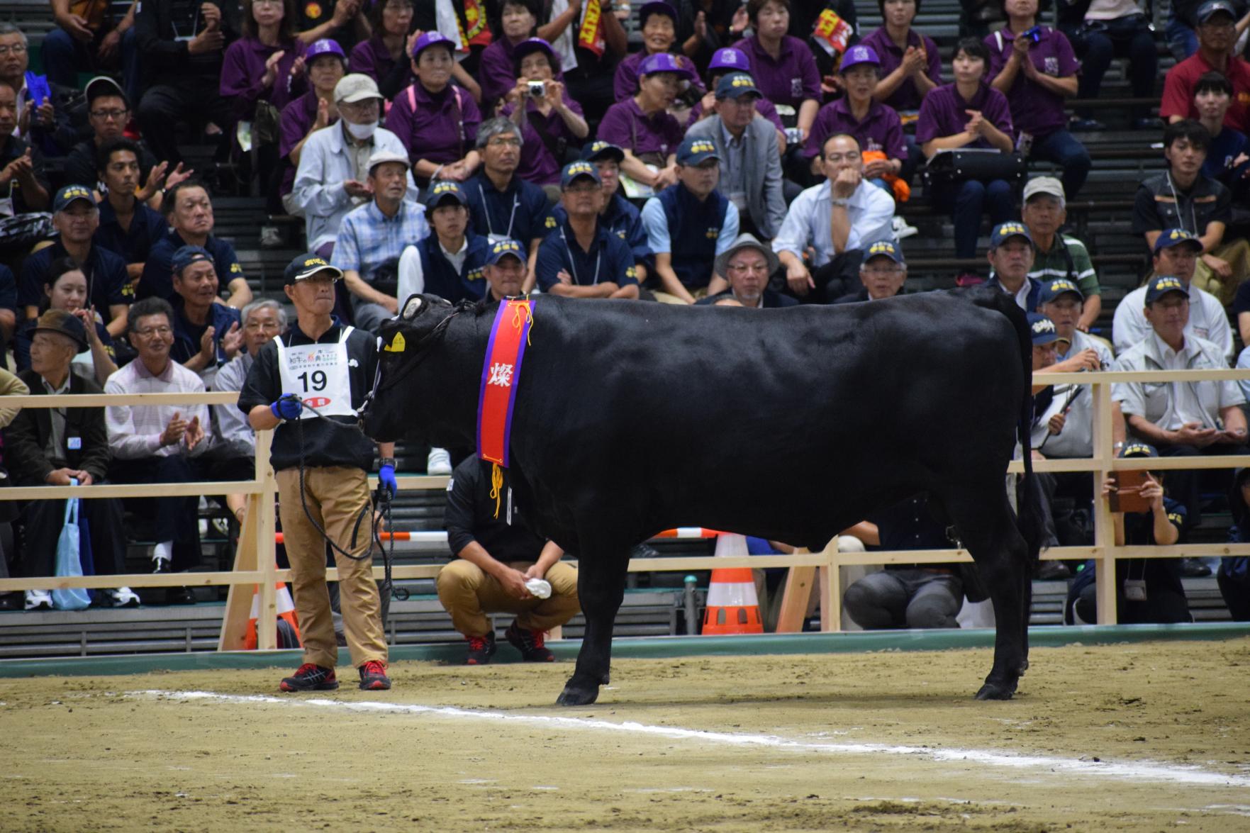 Wagyu Festival 2022-1