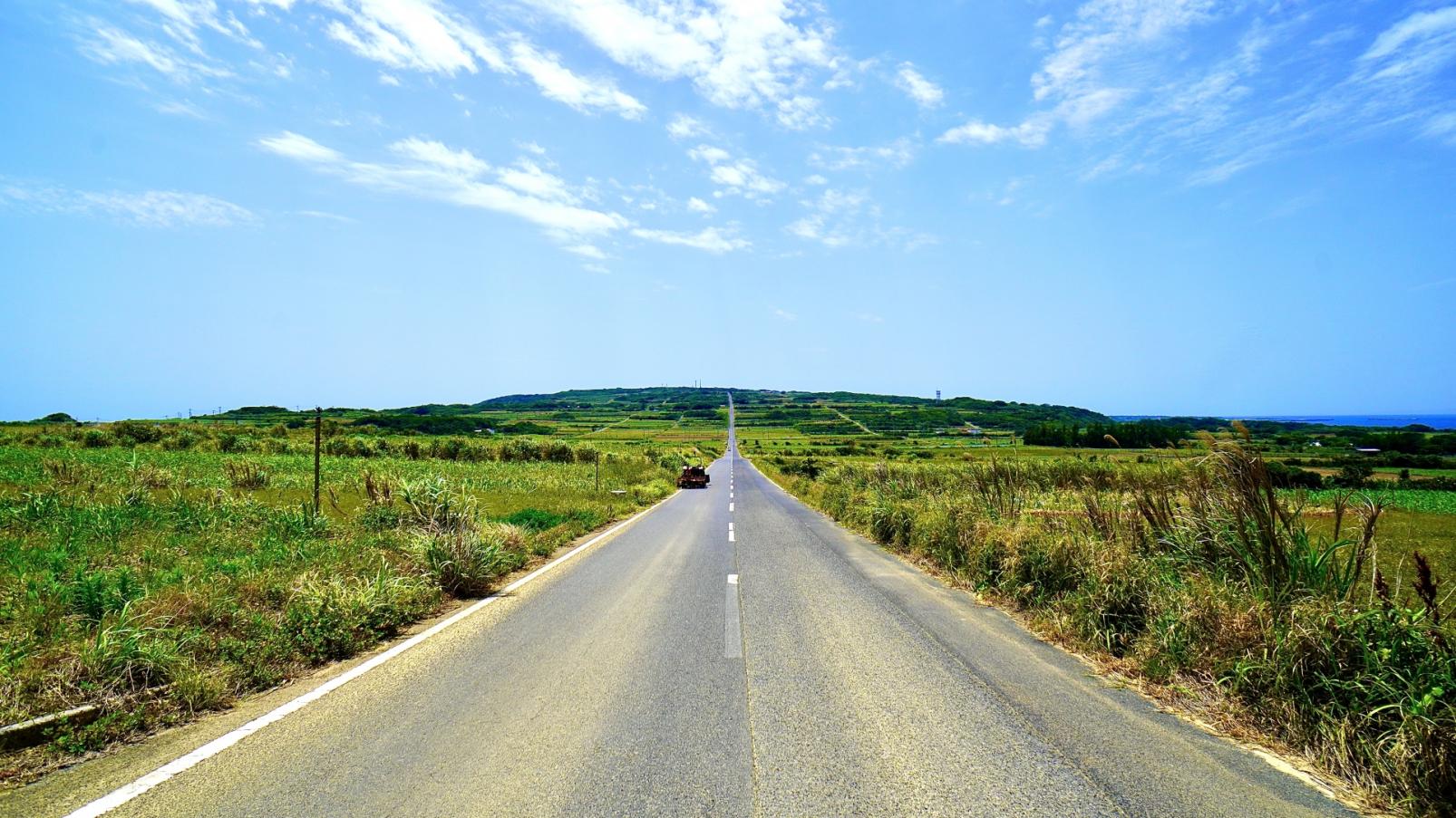 Kikaijima Course, an island where mysterious giant banyan trees and butterflies dance-0