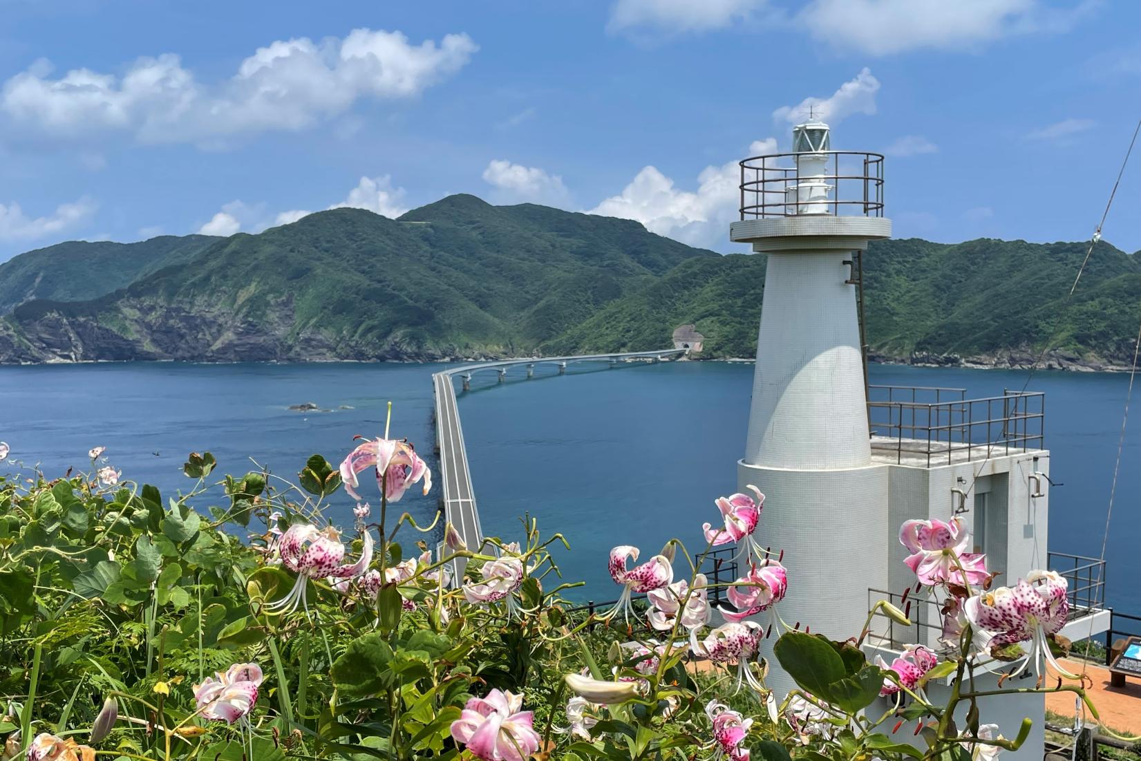 鳥ノ巣山展望台