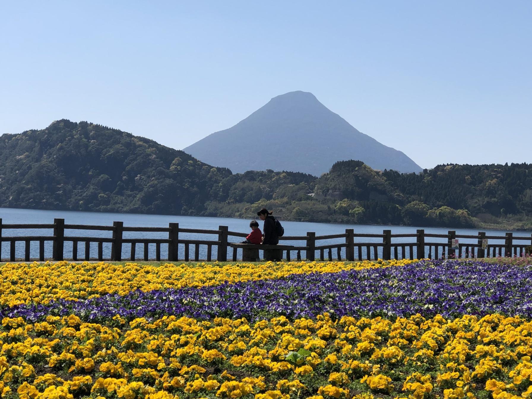 TRIP　今日はどこ行く？鹿児島を旅しよう（南薩摩エリアのよかとこ）-0