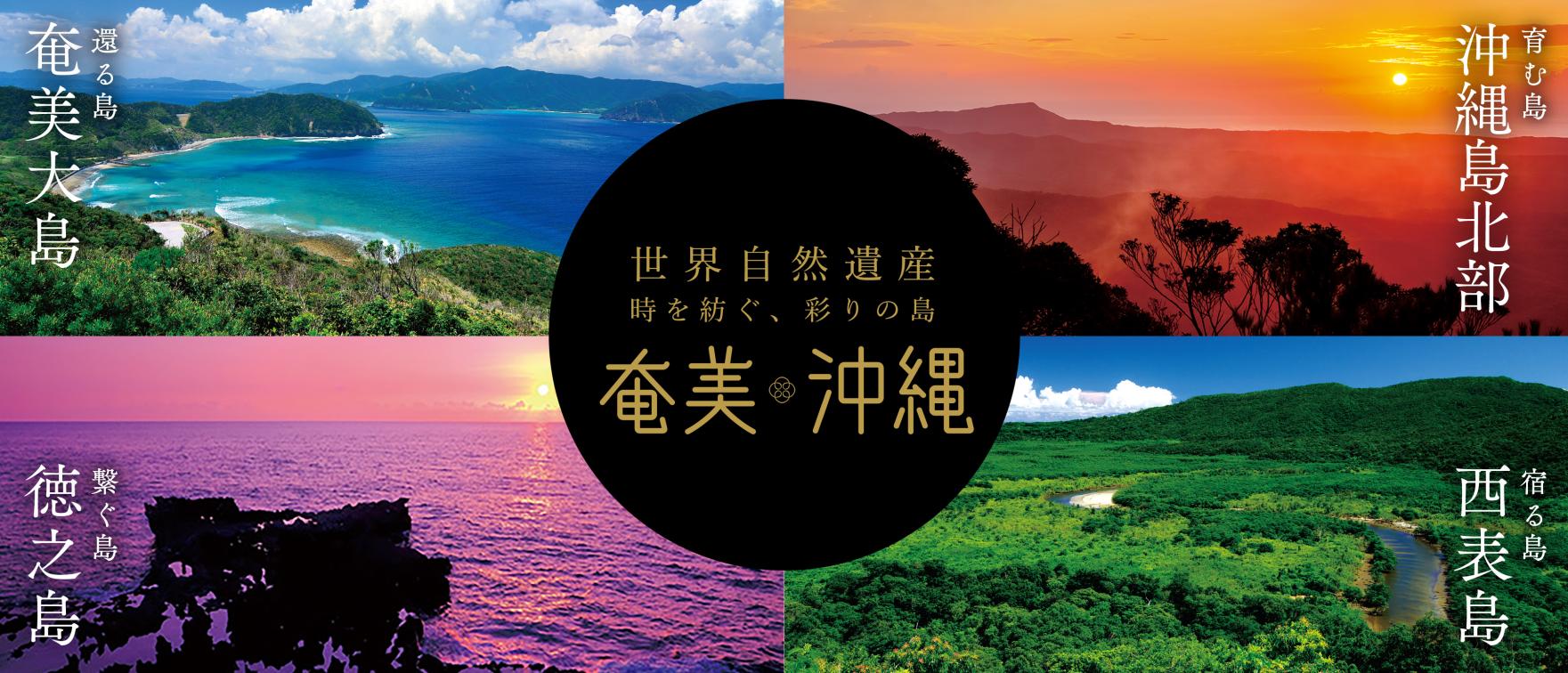 4つのエリアで魅力を発見!奄美・沖縄世界自然遺産を旅する-0