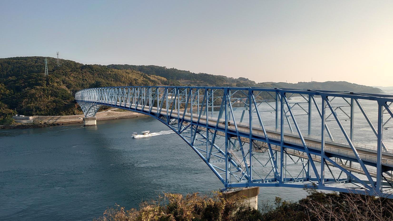 長島：温州みかんの発祥地（鹿児島県国際交流員のコラム ）-1