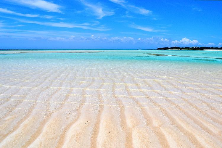 つながる ゆんぬんちゅと農村体験＆しま旅inヨロン島-1