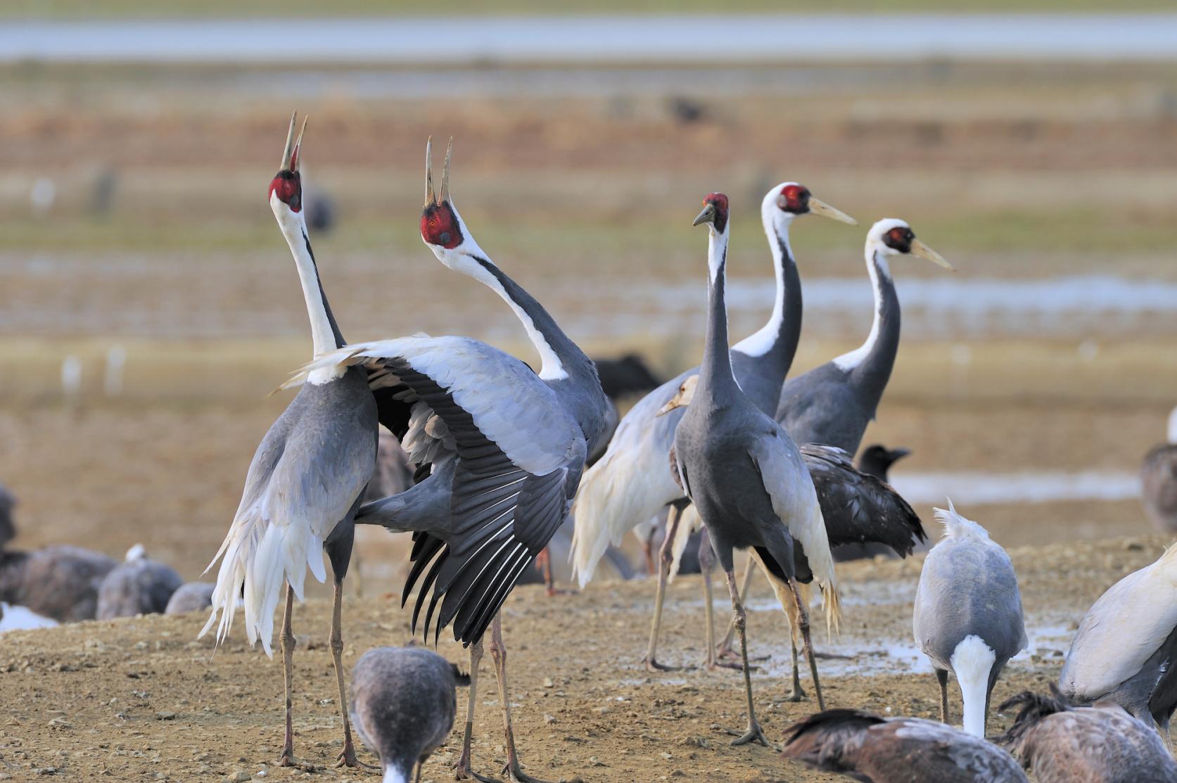 겨울의 따뜻한 숙박 할인 캠페인-7