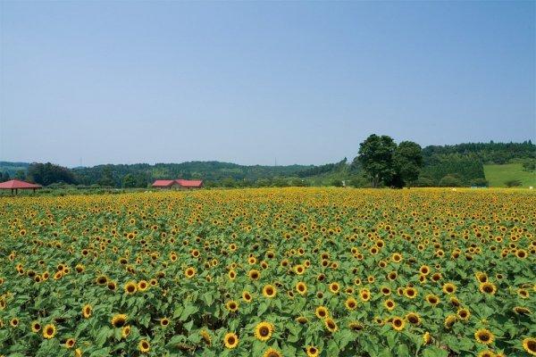 鹿児島市都市農業センター-0