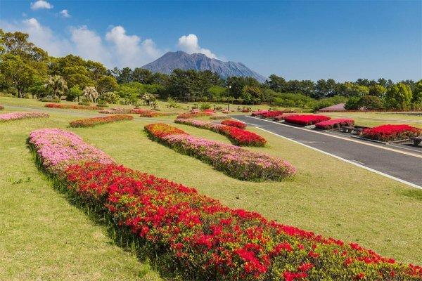 鹿児島県立吉野公園-2