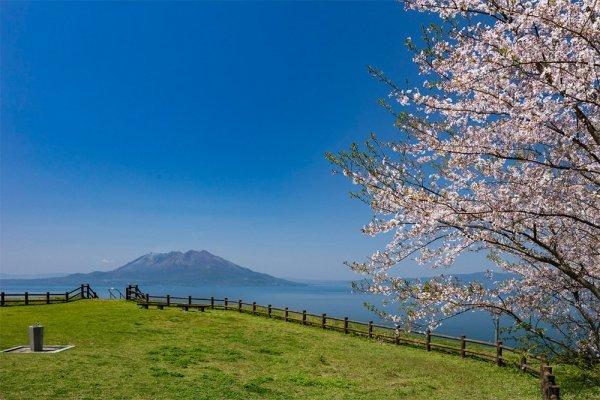 中茶屋公園-0