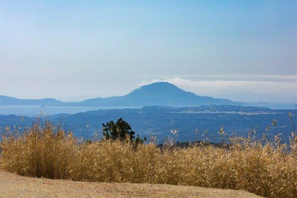 栗野岳枕木階段-1