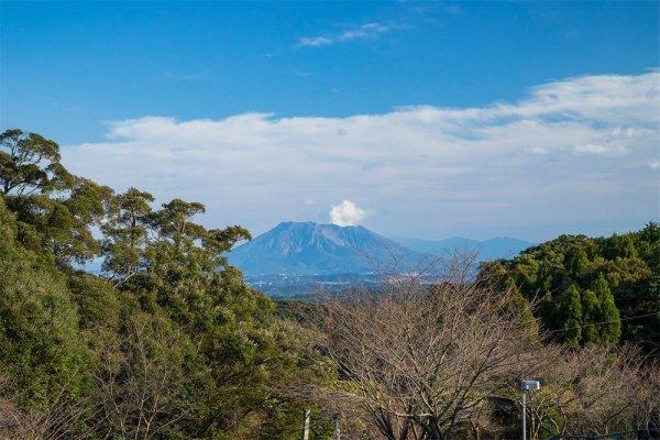 伊集院森林公園-0