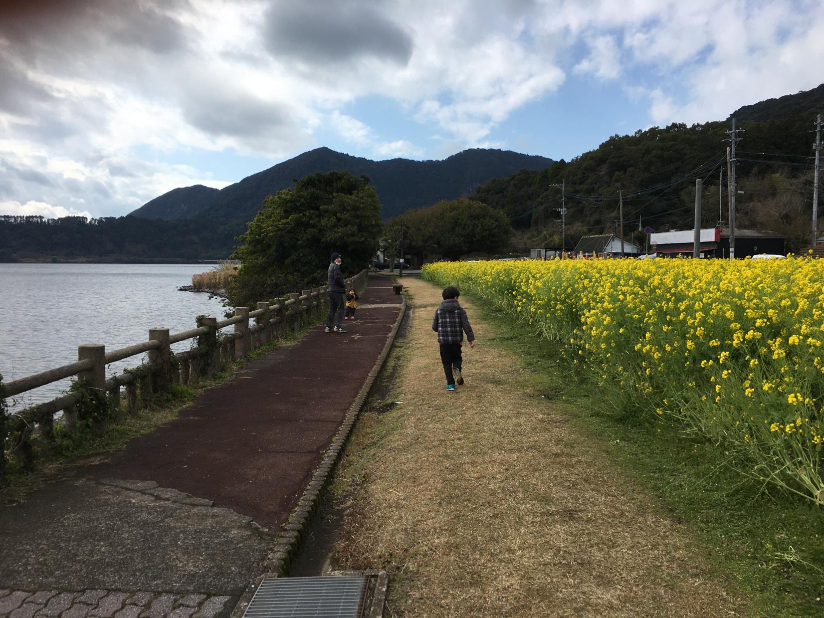 池田湖のほとりを散策-0