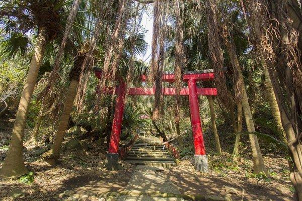 佐多岬遊歩道-1