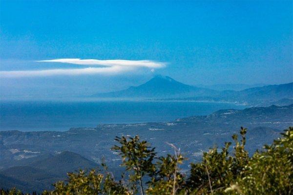 鹿児島県照葉樹の森-0