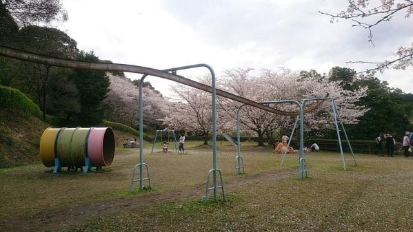 たかのやま公園・キャンプ場（高野山公園）-5