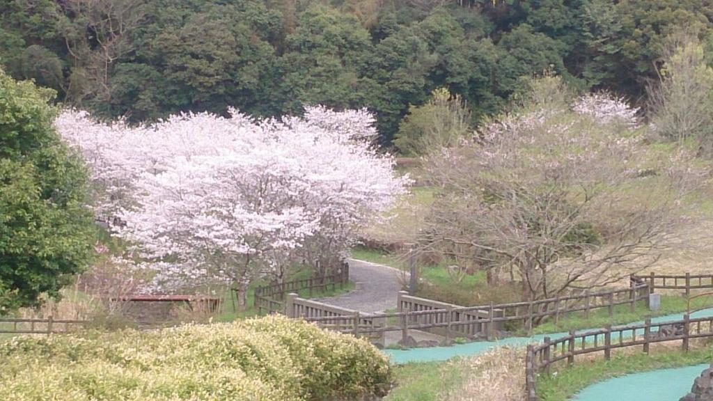 たかのやま公園・キャンプ場（高野山公園）-1