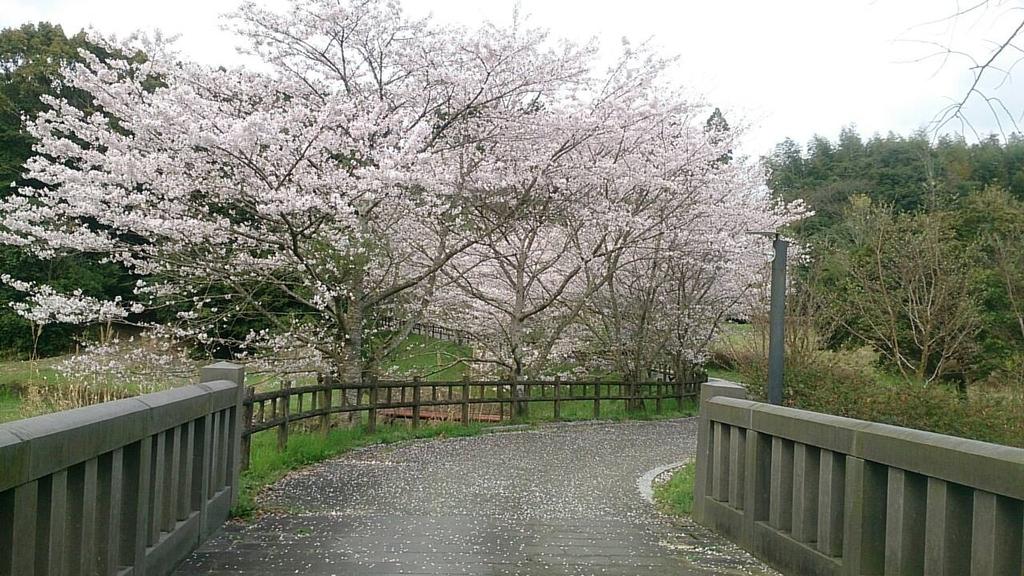 たかのやま公園・キャンプ場（高野山公園）-4