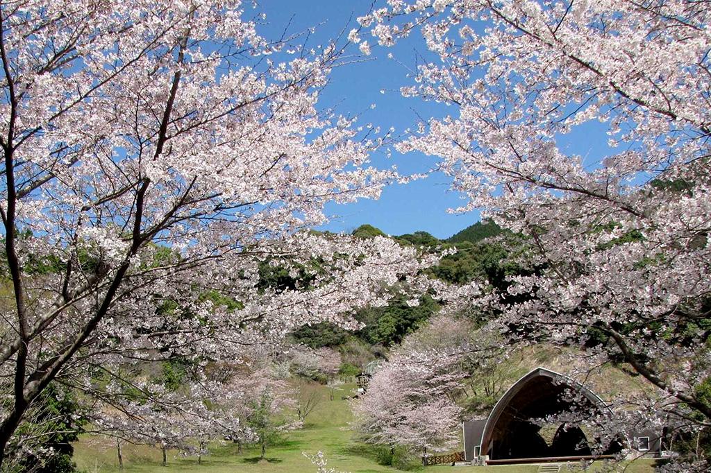 鹿児島県 県民の森-3