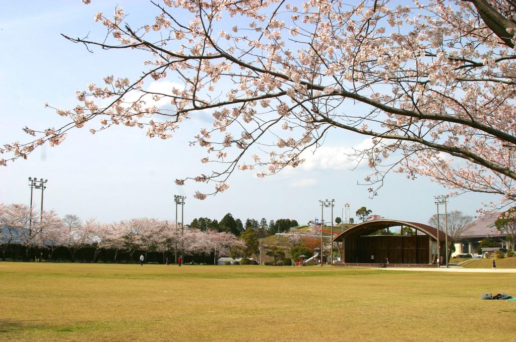 미조베 우와토코 공원-3