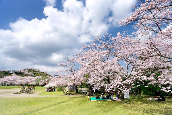 Maruoka Park-2