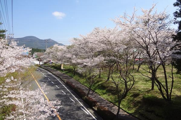 雾岛高原国民休养地-1