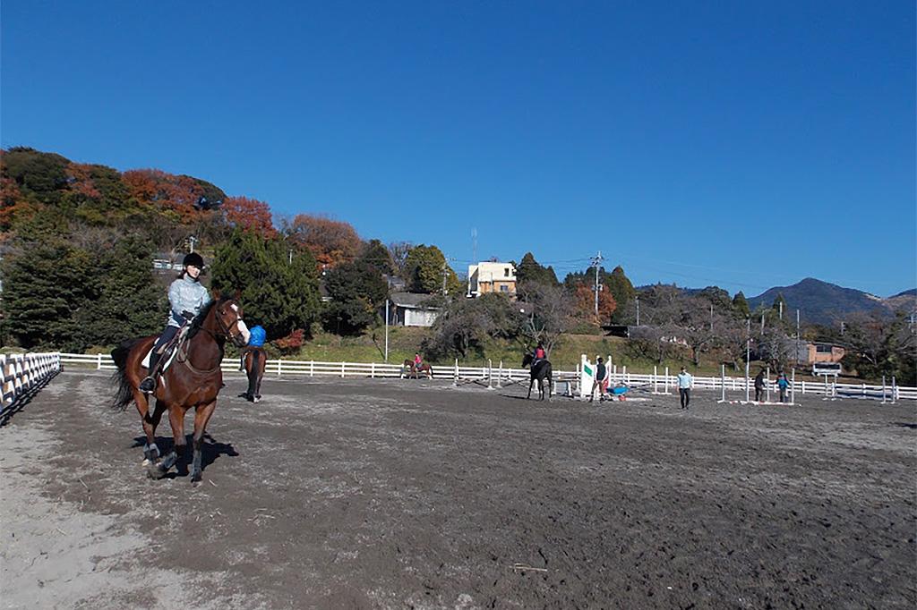 霧島高原乗馬クラブ-1