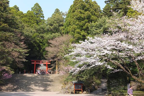 雾岛神宫“国宝”-6