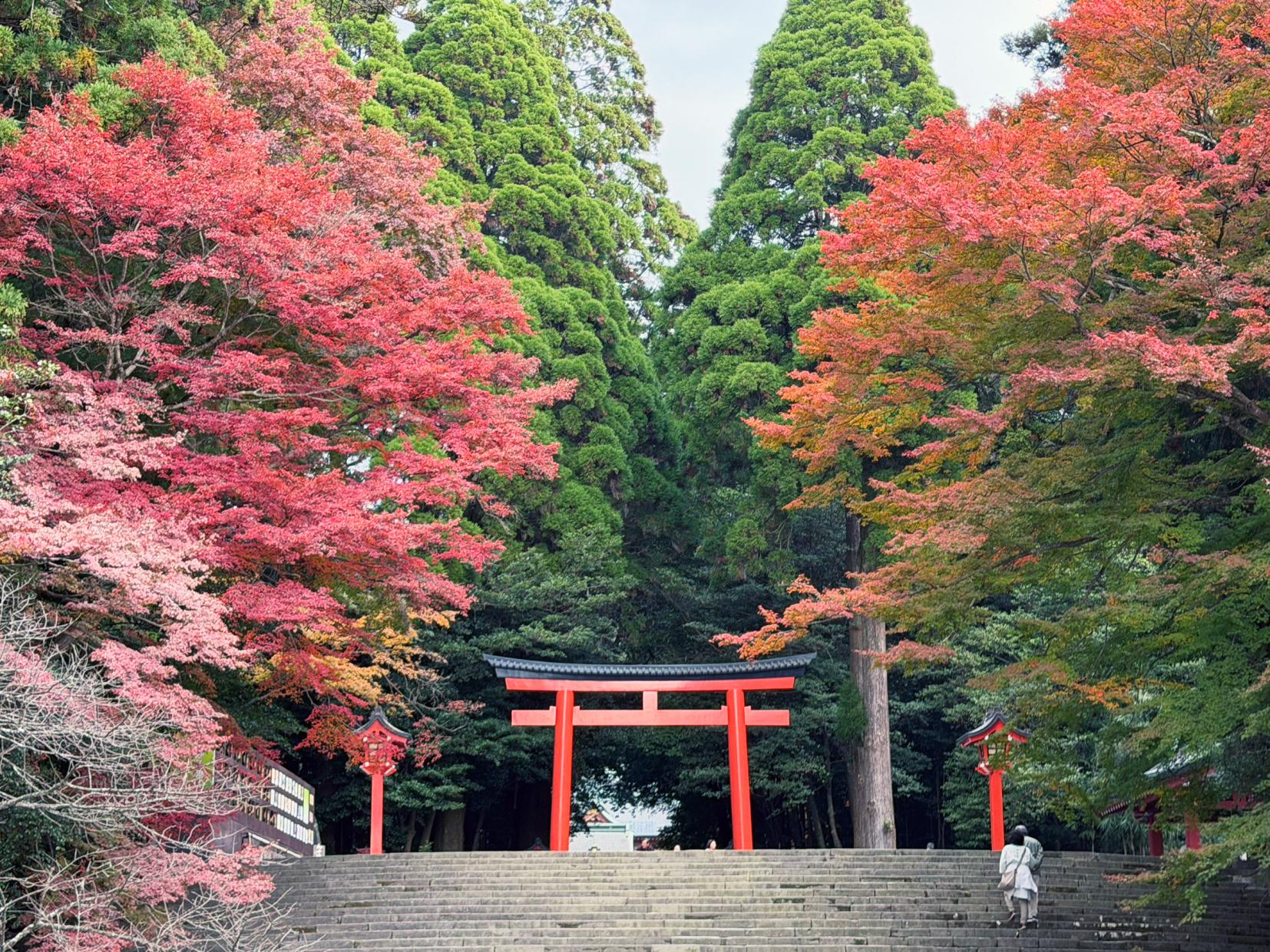 雾岛神宫“国宝”-3