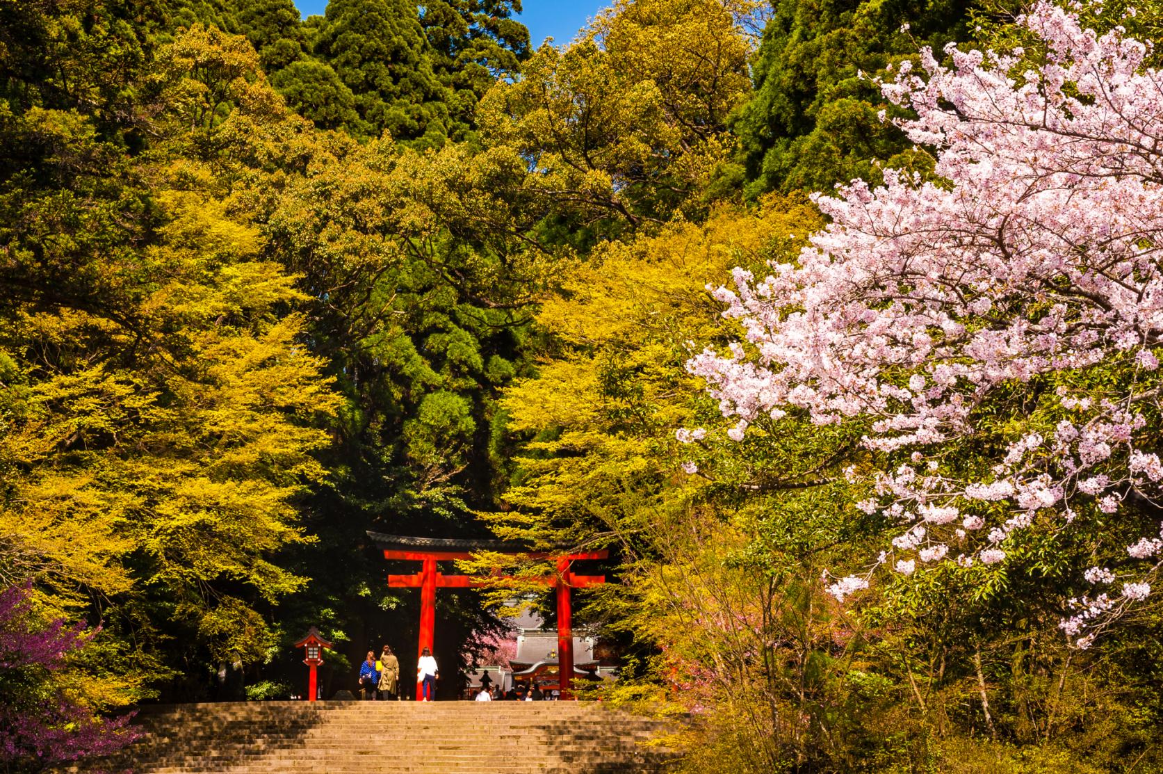 雾岛神宫“国宝”-7
