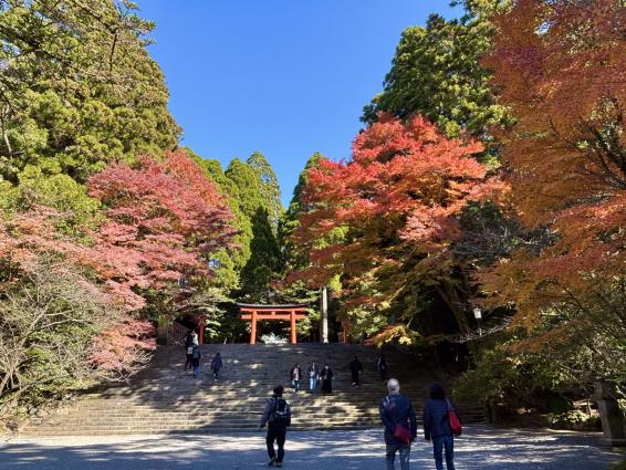 雾岛神宫“国宝”-5