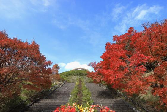 霧島神話の里公園（道の駅霧島）-2