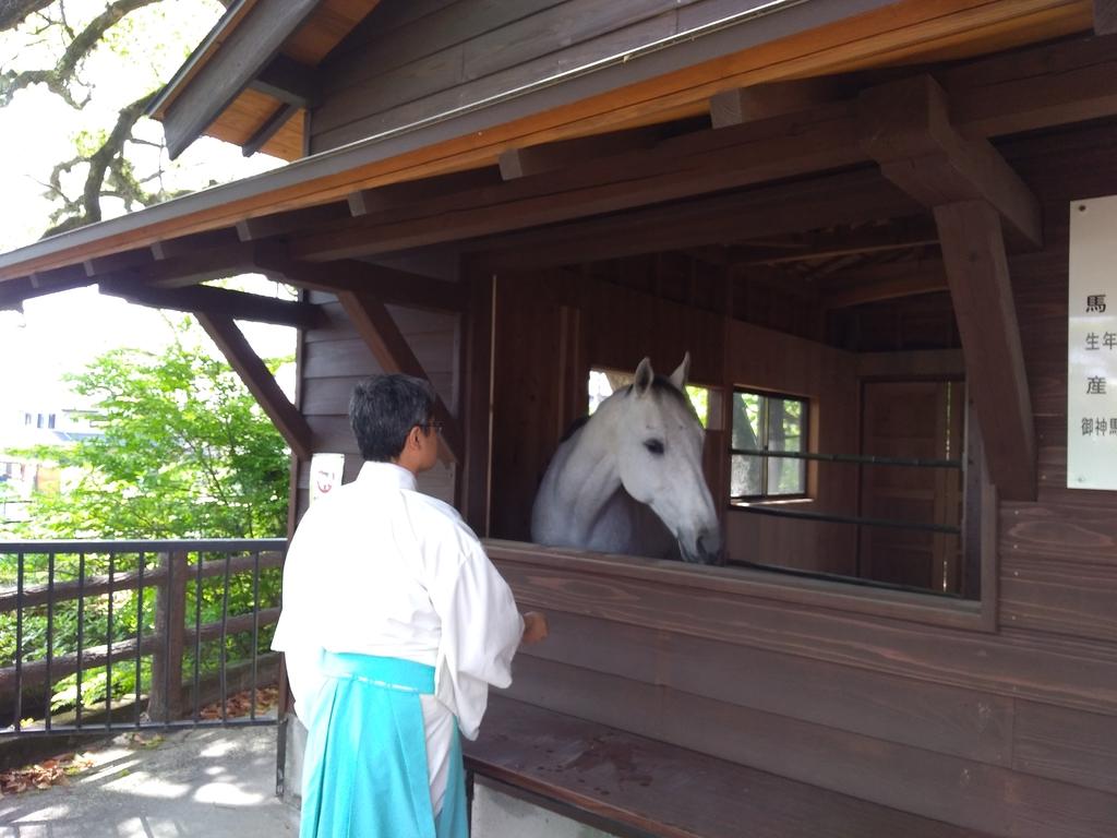 Kagoshima Shrine-9