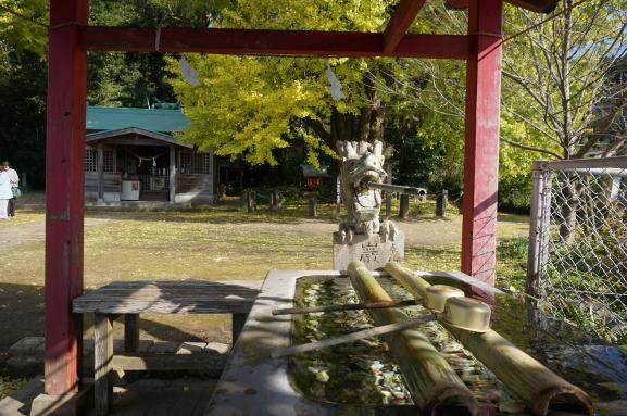 The Husband and Wife Maidenhair (Gingko) Trees of Fukuyama Town-8