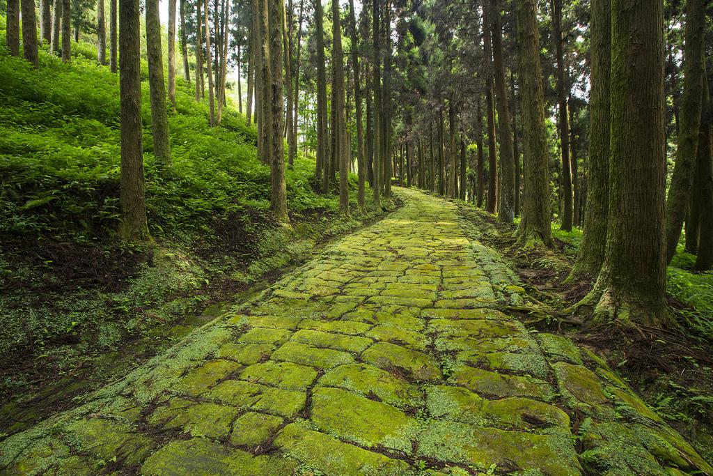 Tatsumonji Zaka (Tatsumonji Slope)-1