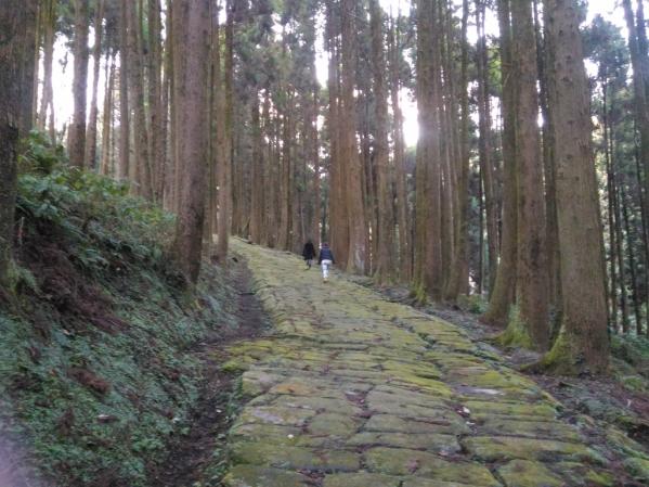 Tatsumonji Zaka (Tatsumonji Slope)-6