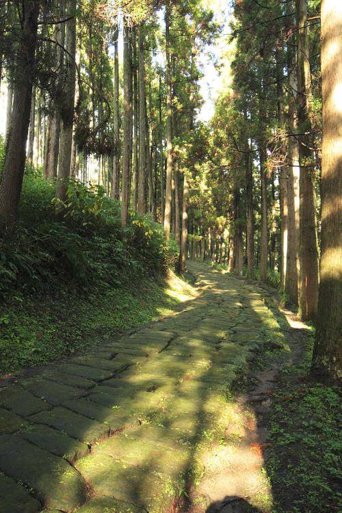 Tatsumonji Zaka (Tatsumonji Slope)-5