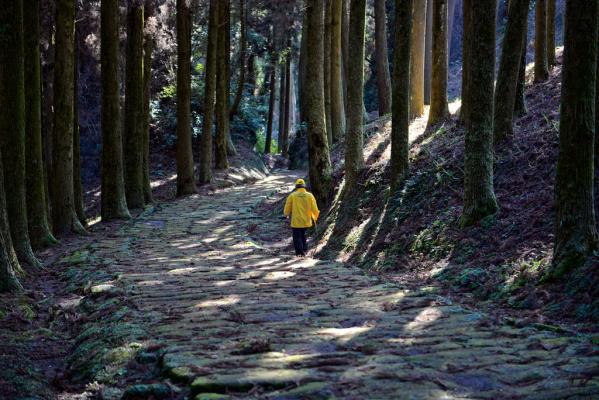 Tatsumonji Zaka (Tatsumonji Slope)-1