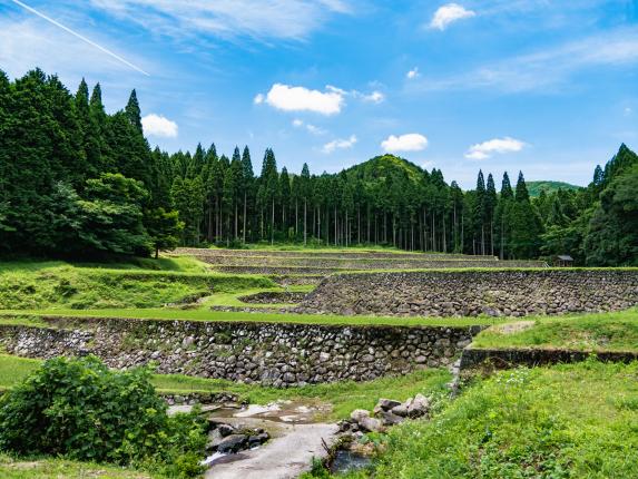 幸田地区の棚田-1