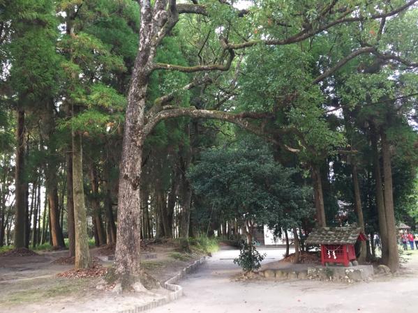 勝栗神社-3