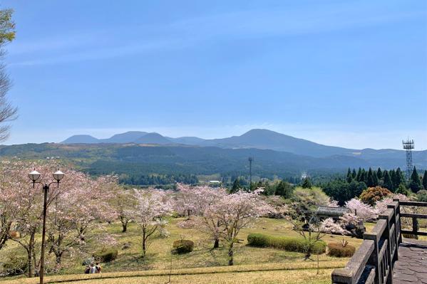 池平公園-6